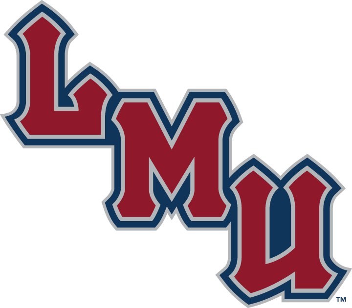 Loyola Marymount Lions 2001-Pres Wordmark Logo v4 diy DTF decal sticker